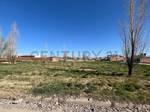 Terreno en Venta 300  mts Fondo