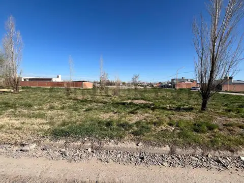 Yapeyu , Piso 0