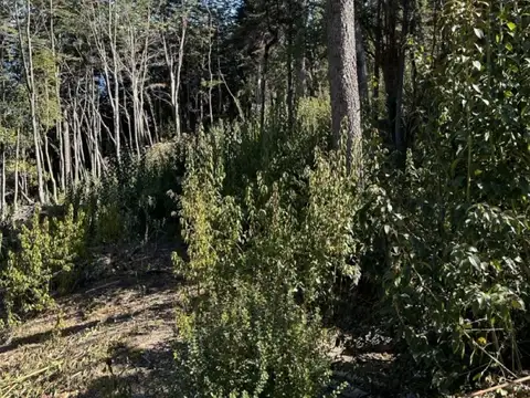 Terreno en Venta en Villa la Angostura, USD 600.000
