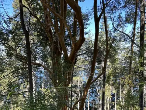 Estupendo lote en Dos Lagos