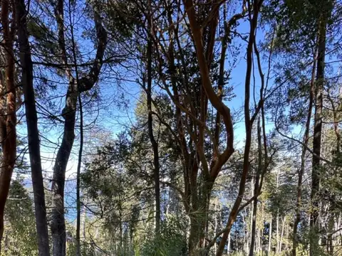 Terreno en Venta de 2050,0 m2