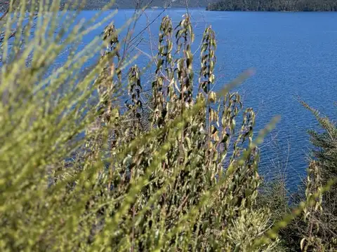 Terreno en Venta de 2050,0 m2