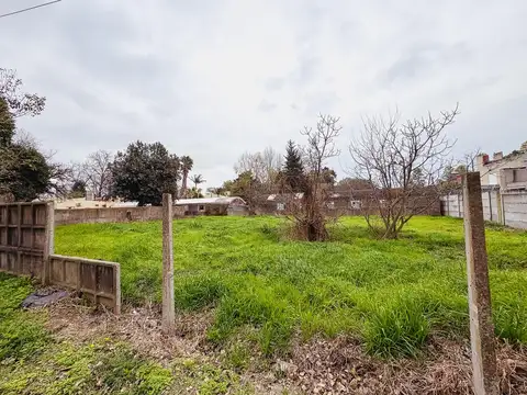 Lote en venta sobre Ricardo Rojas en Paseo del Este