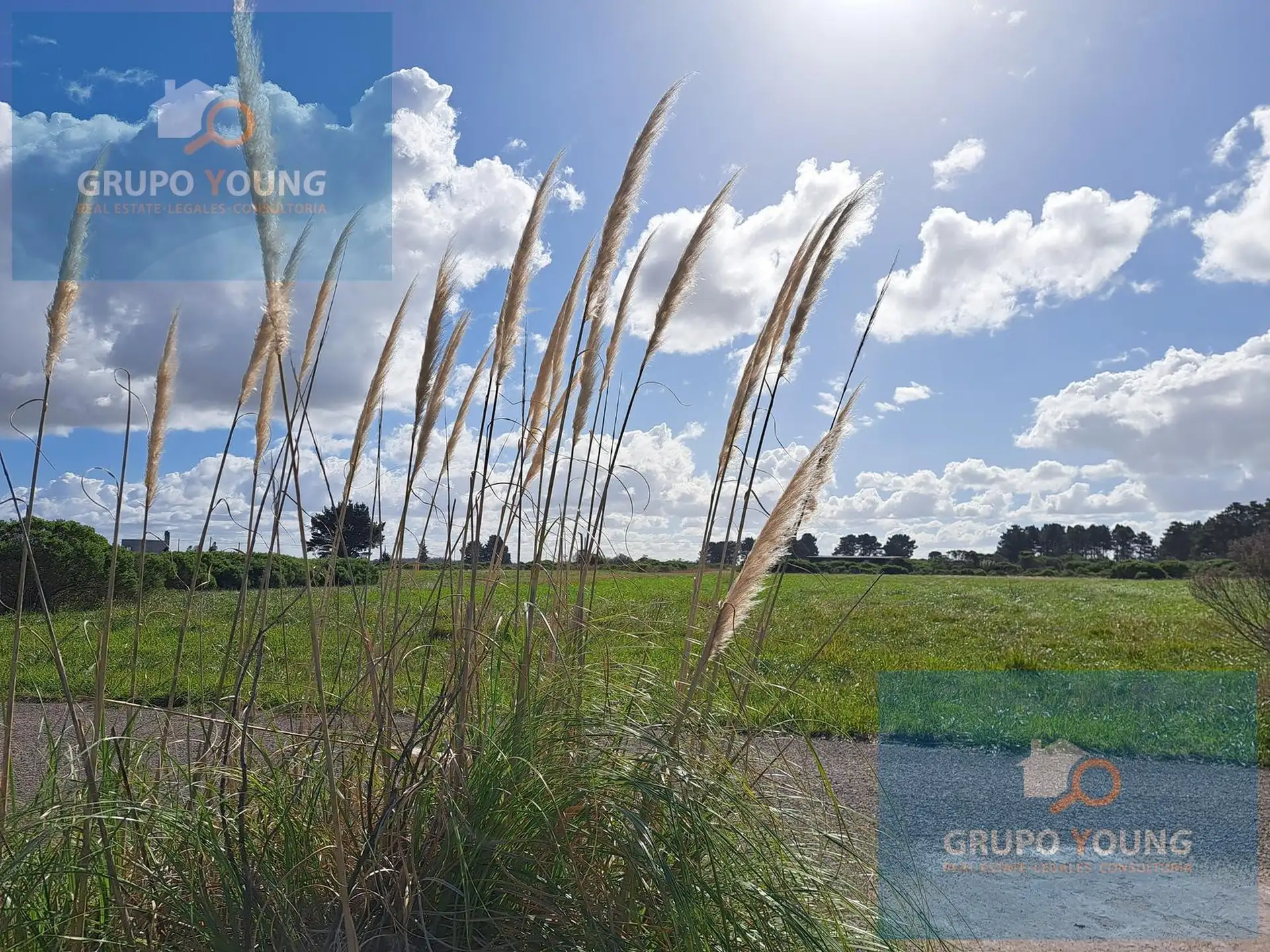 Venta de Terreno en El Marquesado - MAR DEL PLATA