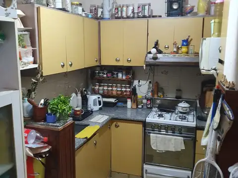 Camacuá 100