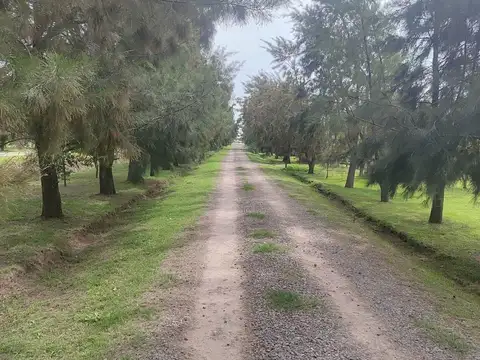 Terreno en Venta en San Miguel del Monte, Partido de Monte