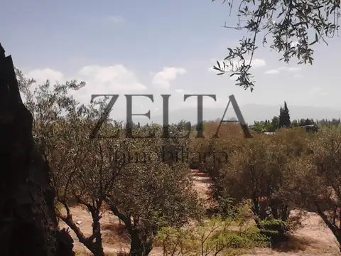 Casa en Venta 30 años
