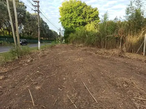 Av. Mitre, Manzanares, Pilar 100