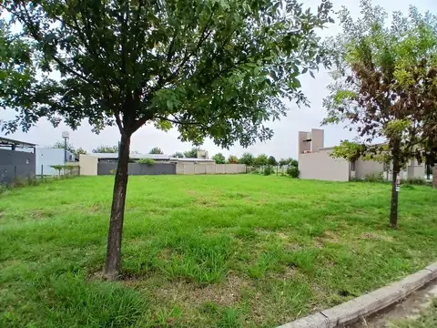 Gran lote a la venta en Andino