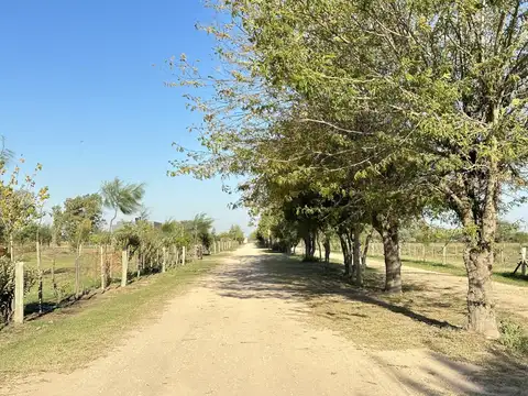 Terreno en  La Reserva, barrio de chacras