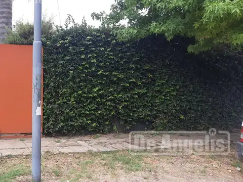 (A) Padilla al 300