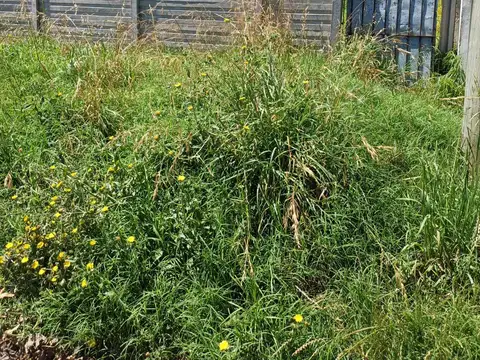 Terreno en Venta en Punta Mogotes, USD 45.000