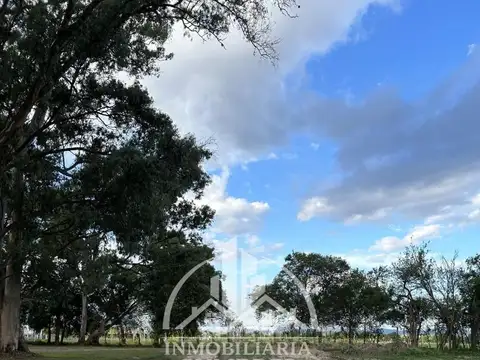 TERRENO EN VENTA ZONA SUR LOS OLMOS 360