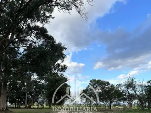 Terreno en Venta de 314,0 m2