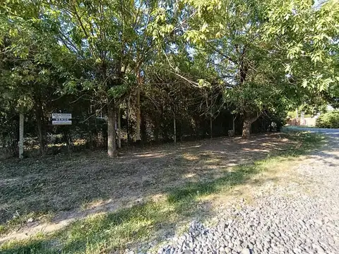 Morixe