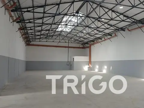 Galpon en Alquiler 30  mts Frente