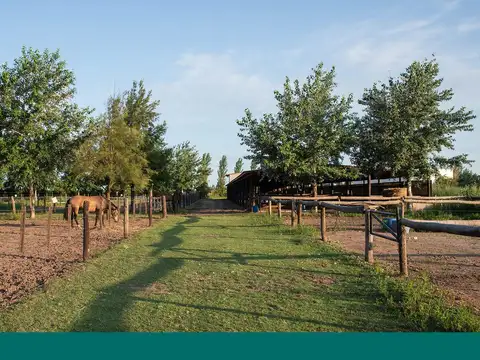 Ruta 34, Km 10, Ibarlucea.