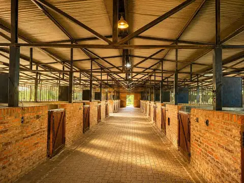 CLUB DE POLO EN VENTA EN GENERAL RODRIGUEZ