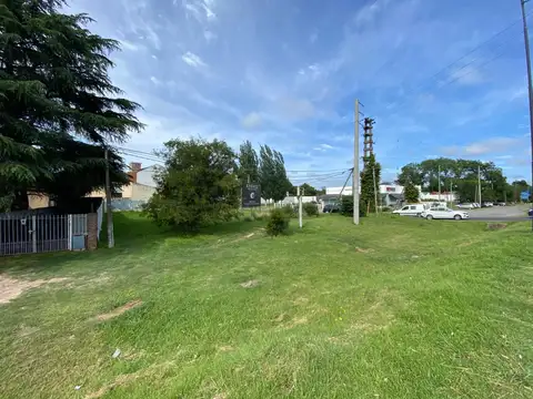 Camino Centenario