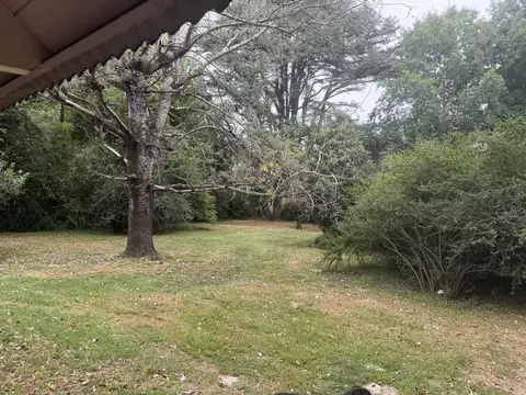 JUANA AZURDUY al 900 - MASCHWITZ