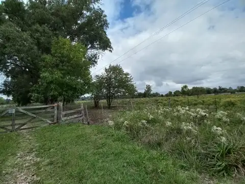 Terreno en Venta 30  mts Frente