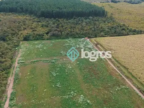 CAMPO EN VENTA - 120 has - Orán, Salta
