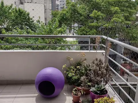 Avenida Congreso 1500