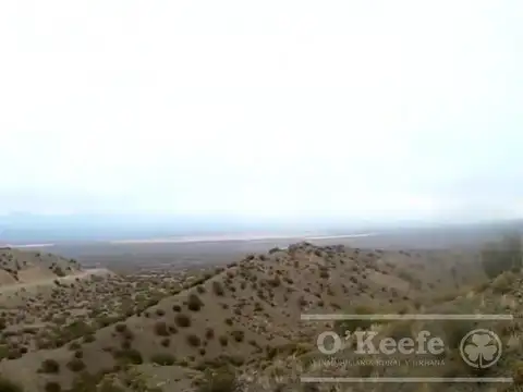 Campo en venta 10.048 has en San Juan valle solar Potencial Agricola- Energético.