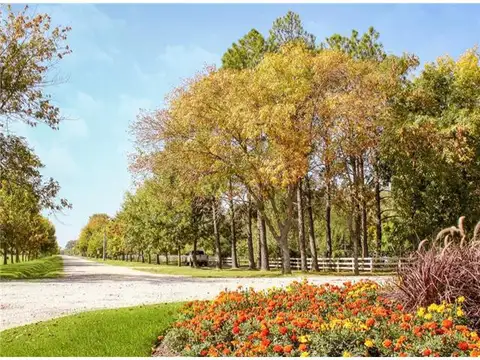 TERRENOS/FRACCIONES/LOTEOS - TERRENOS - SAN VICENTE, GRAN BS. AS. SUR