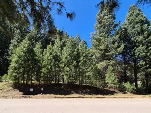 Terreno en Venta 37  mts Frente