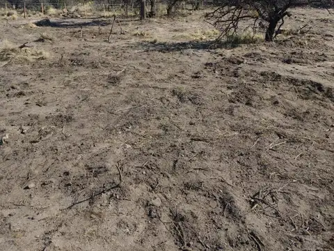 Terreno 1000 mts2 Aguas Buenas