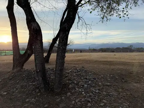 Terreno en Venta de 1000,0 m2