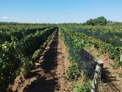 Ruta 40 Vieja