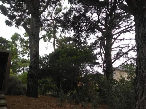 Terreno en Venta de 675,0 m2
