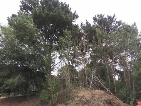 Terreno en Venta en Las Gaviotas, USD 57.000