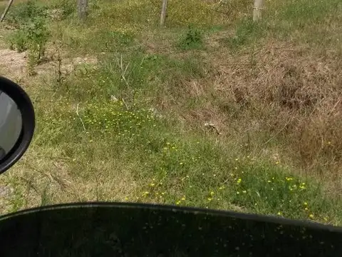 Terreno en Venta de 50000,0 m2
