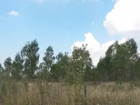 Terreno en Venta en Guernica, USD 150.000