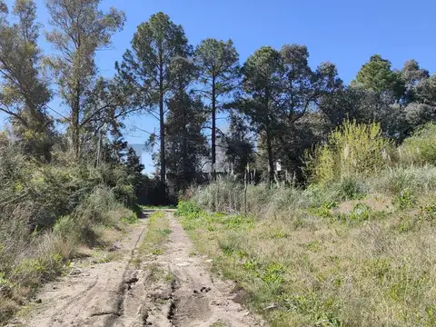 Terreno en Venta de 21950,0 m2