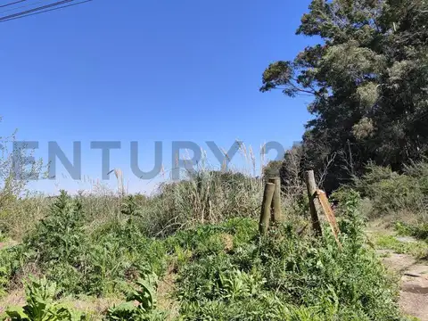 Terreno en Venta 250  mts Fondo