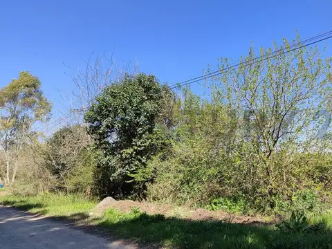 Terreno en Venta en Arana, USD 120.000