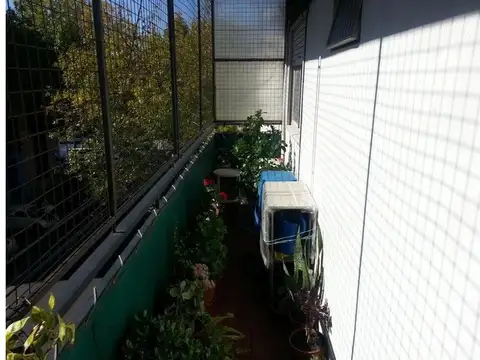 Wenceslao Villafañe 100