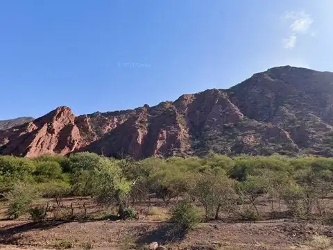 Terreno en venta - 19.000Mts2 - Alemania, Salta