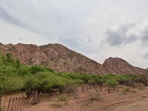 Terreno en Venta de 19000,0 m2