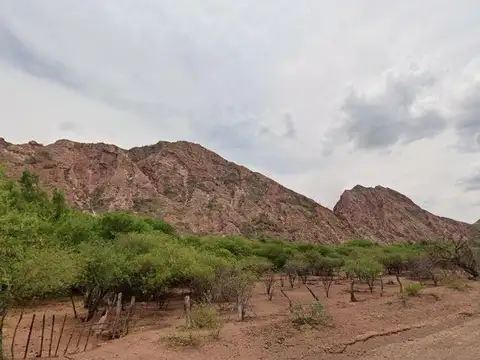 Terreno en Venta de 19000,0 m2