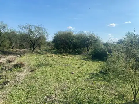 Campo ganadero en Fortín Olmos