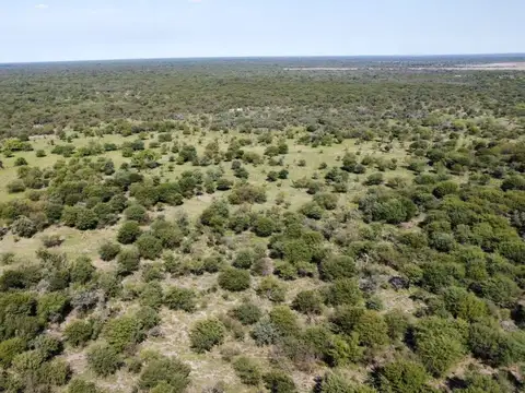 Campo ganadero en Fortín Olmos