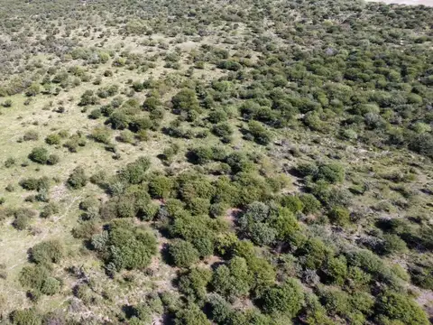 Campo ganadero en Fortín Olmos