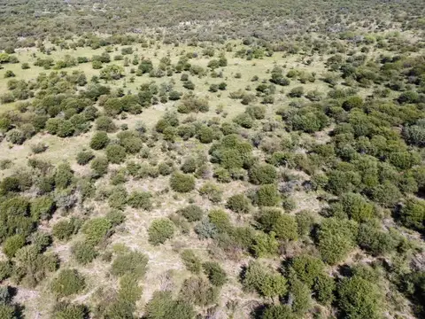 Campo ganadero en Fortín Olmos