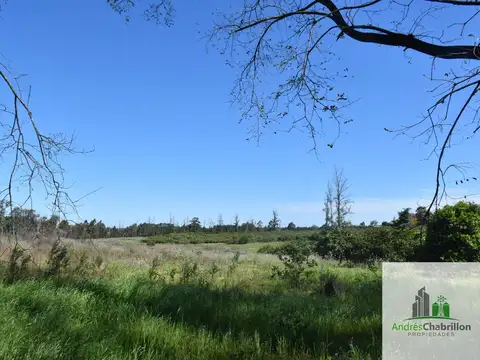 Terreno en Venta de 34400,0 m2