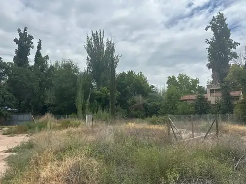 Terreno en Venta en Lujan de Cuyo, Luján de Cuyo